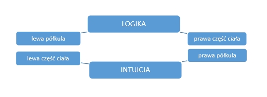 logika a intuicja